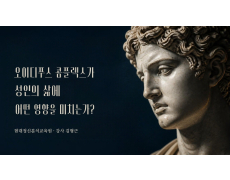 오이디푸스 콤플렉스가 성인의 삶에 어떤 영향을 미치는가?