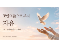 동반의존으로 부터 자유 - 1부 당신은 천사입니다.