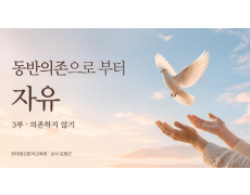 동반의존으로 부터 자유 - 3부 의존하지 않기